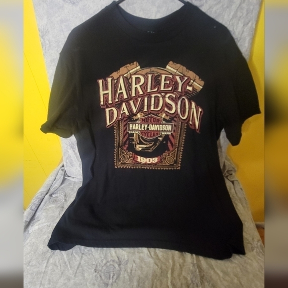 Hanes Other - Men's brandon harley davidson t shirt ( L )